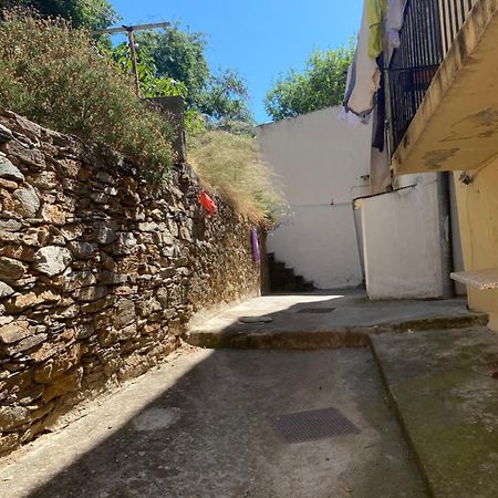 Bel Appartement A 3 Minutes De La Plage Bastia  Exteriör bild
